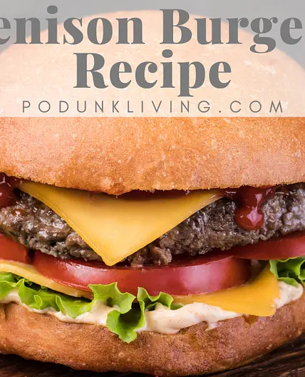 The Best Venison Burger Recipe
