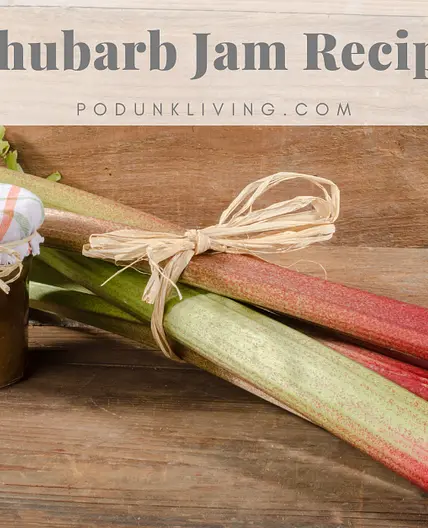 Rhubarb Jam Recipe