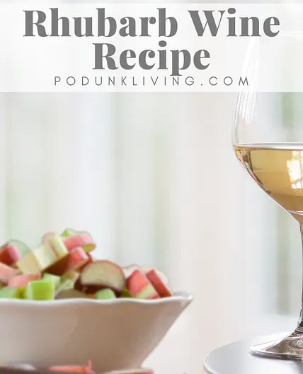 Homemade Rhubarb Wine Recipe