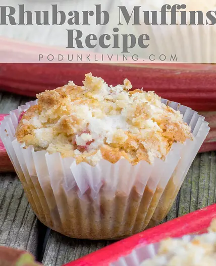 Rhubarb Muffins