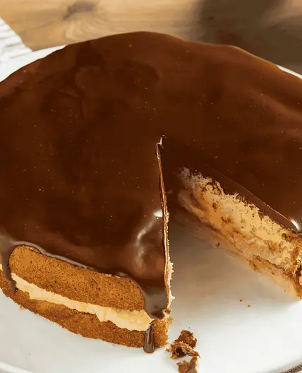 Boston Cream Pie (Custard Filled Chocolate Cake)
