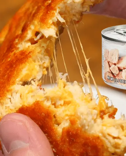 Easy Cheesy Canned Chicken Patties