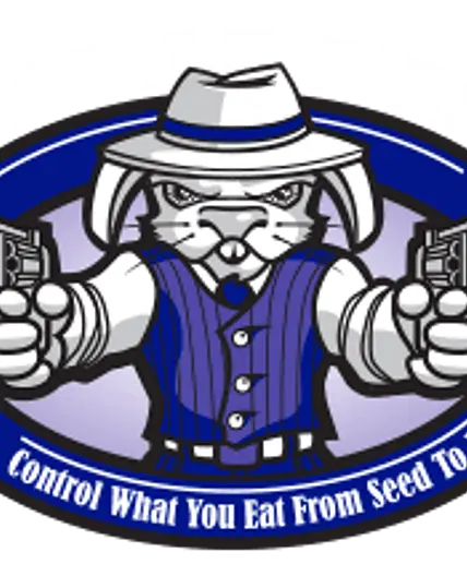 Braised Rabbit in Honey Mustard — Hostile Hare