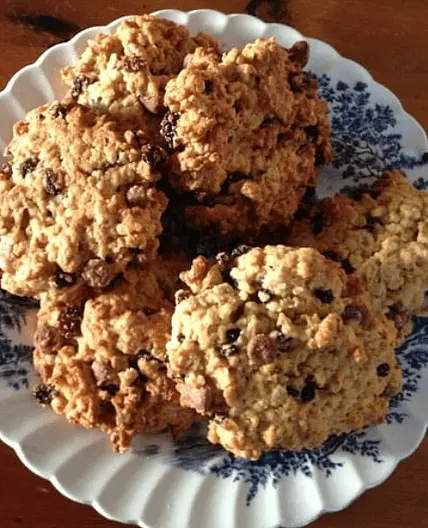 Alison Holst Scroggin' Lunch Biscuits