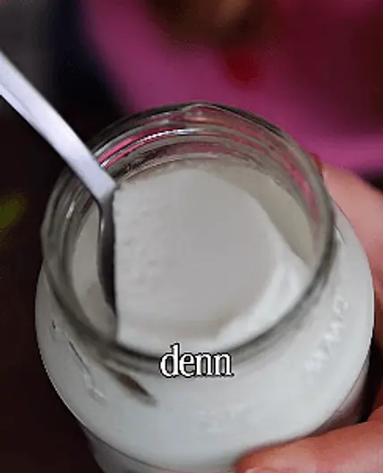 Yogurte Natural