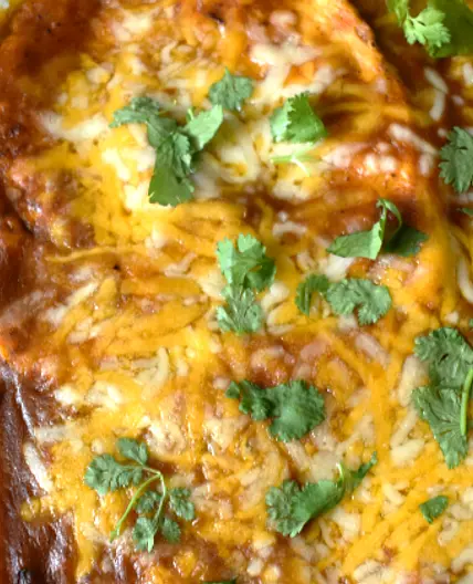 Healthy Chicken Enchilada Casserole
