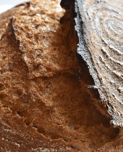 Easy Fresh-Milled Sourdough Bread for the Busy Home Cook