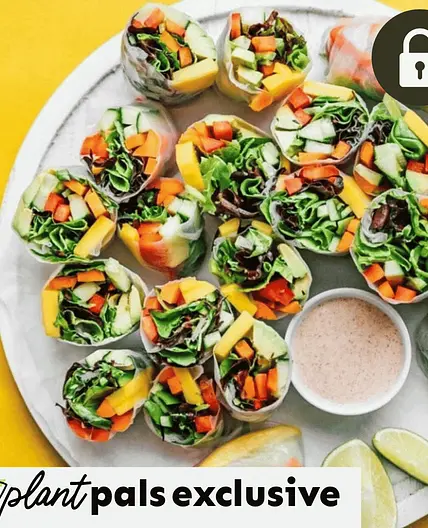 Vegetable Vietnamese Spring Rolls