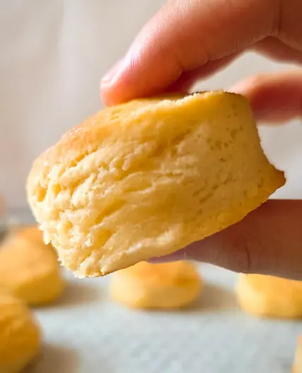 EASY 3 Ingredient Biscuit Recipe (Best Buttermilk Biscuits)