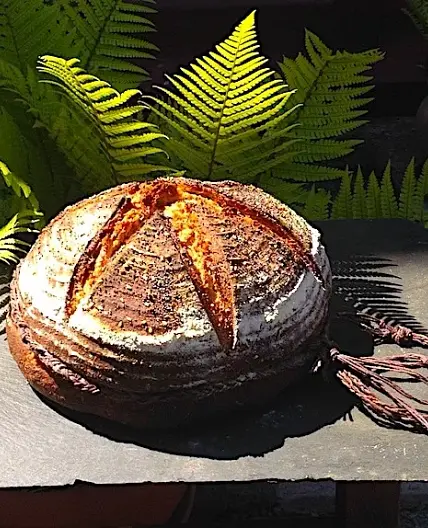 2,000 Year Old Bread Recipe From Pompeii