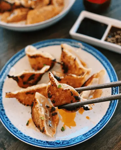 Chicken Dumplings