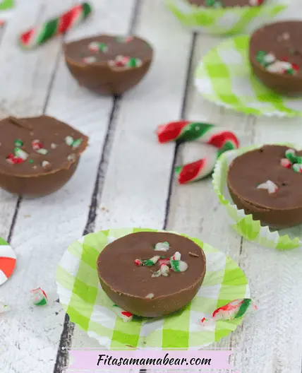 Candy Cane Chocolate Fudge (Dairy and Gluten-free)