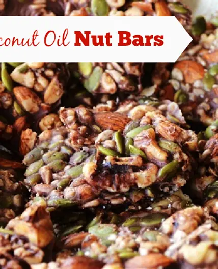 Chocolate Coconut Oil Nut Bars