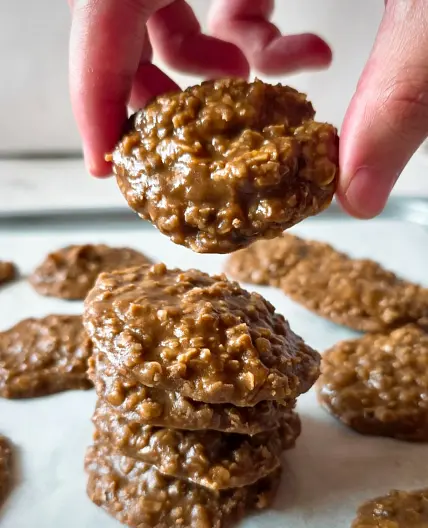 EASY No Bake Cookie Recipe with Chocolate Chips