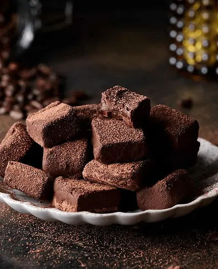 Chocolate fudge-style protein bites
