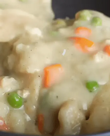 Disability-Friendly Chicken and Dumplings