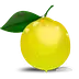 thelemonbowl.com