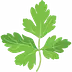 parsleyandparm.com