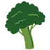 rainbowplantlife.com