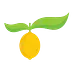 yellowblissroad.com