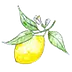 yummymummykitchen.com