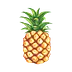 quirkypineapples.com
