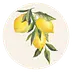 girlandthekitchen.com