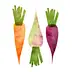 thehiddenveggies.com