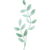 serenetrail.com