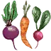 theroastedroot.net