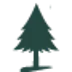 thelittlepine.com