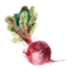thrivingonpaleo.com