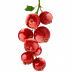 farmtojar.com