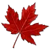 canadiancookingadventures.com