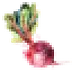 simpleseasonal.com