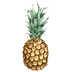 braziliankitchenabroad.com