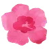peanutblossom.com