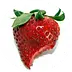 thegardengrazer.com