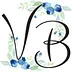 veganblueberry.com