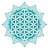 muneezaahmed.com