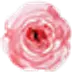 sevenroses.net