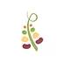 pulses.org