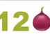 12onions.com