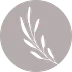 plaineverything.com