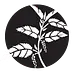 vegetafull.org