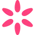 The Toasted Pine Nut
