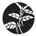 vegetafull.org