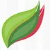 greensmoothiegourmet.com