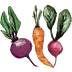 theroastedroot.net