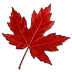 canadiancookingadventures.com